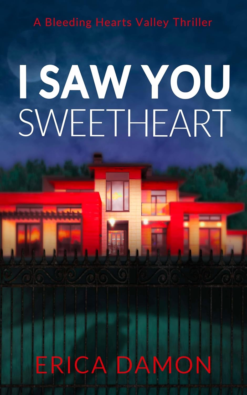 I Saw You Sweetheart by Erica Damon